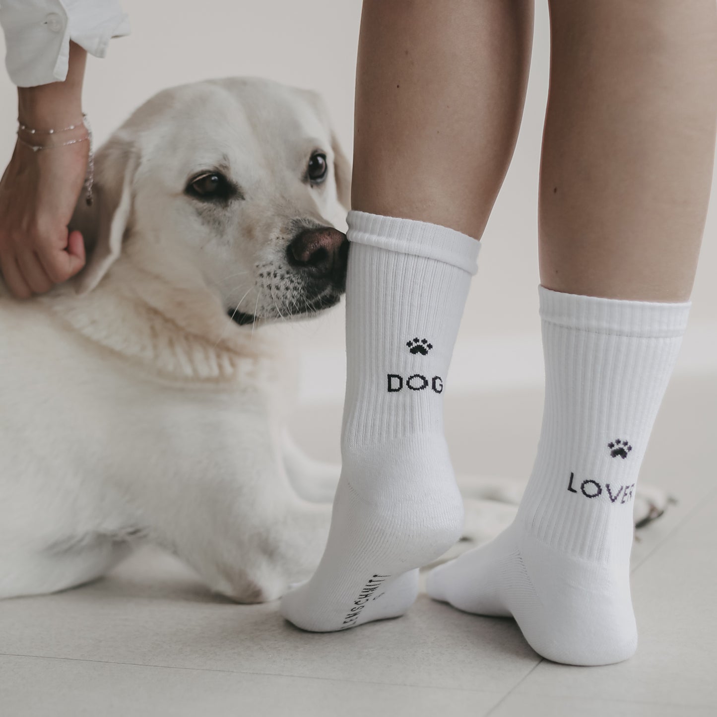 Ein weißer Hund liegt am Boden und schaut in die Kamera. Neben ihm die Beine einer Frau, die weiße sportliche Socken mit dem Schriftzug 'DOG LOVER' auf der Ferse trägt.