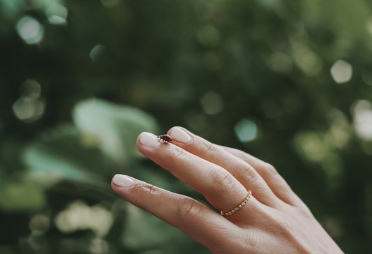 Dein neues Wallpaper | Juni 2025