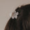 Seitliche Ansicht Haarspange Blume in Perlmutt-Optik im Haar getragen