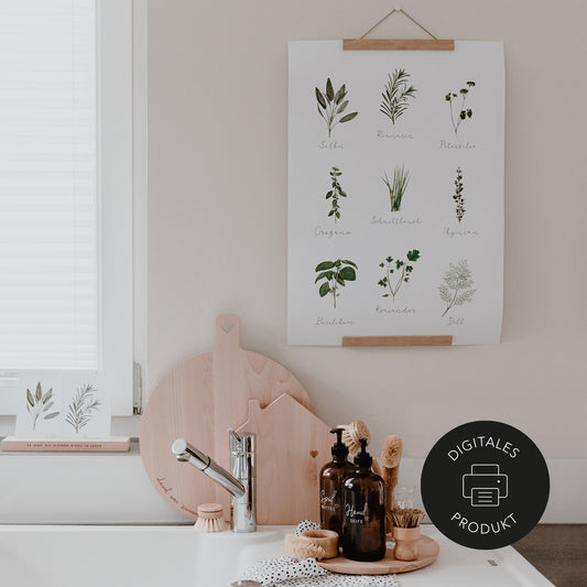 Kräuter Poster mit verschiedenen Küchenkräutern im Aquarellstil zum Download. 