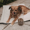 Vorratsglas Hund 19 cm