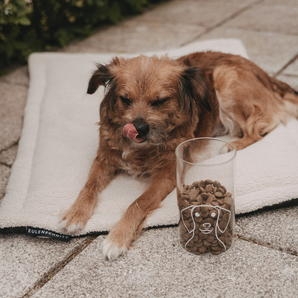 Vorratsglas Hund 19 cm