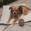 Vorratsglas Hund 19 cm
