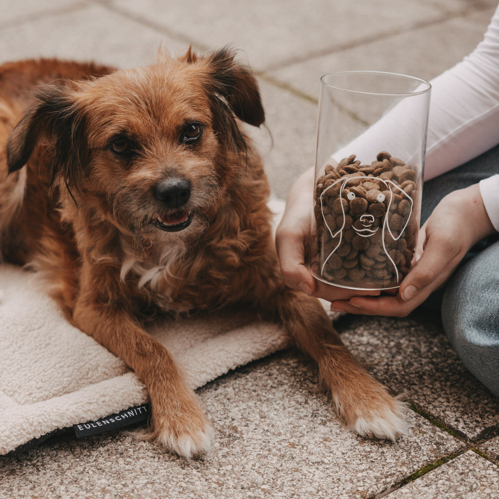 Vorratsglas Hund 19 cm