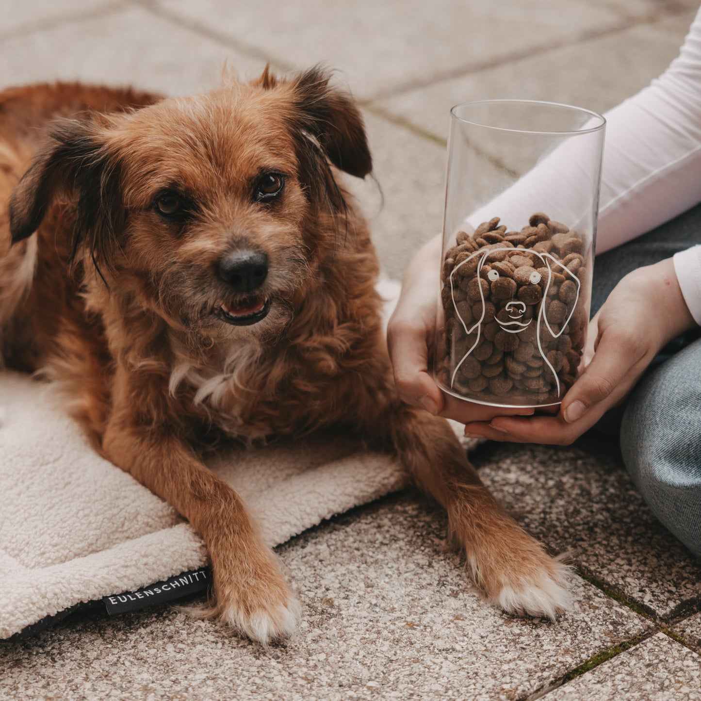 Vorratsglas Hund 19 cm