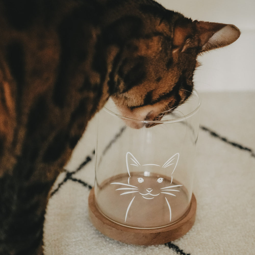 Vorratsglas Katze 13 cm