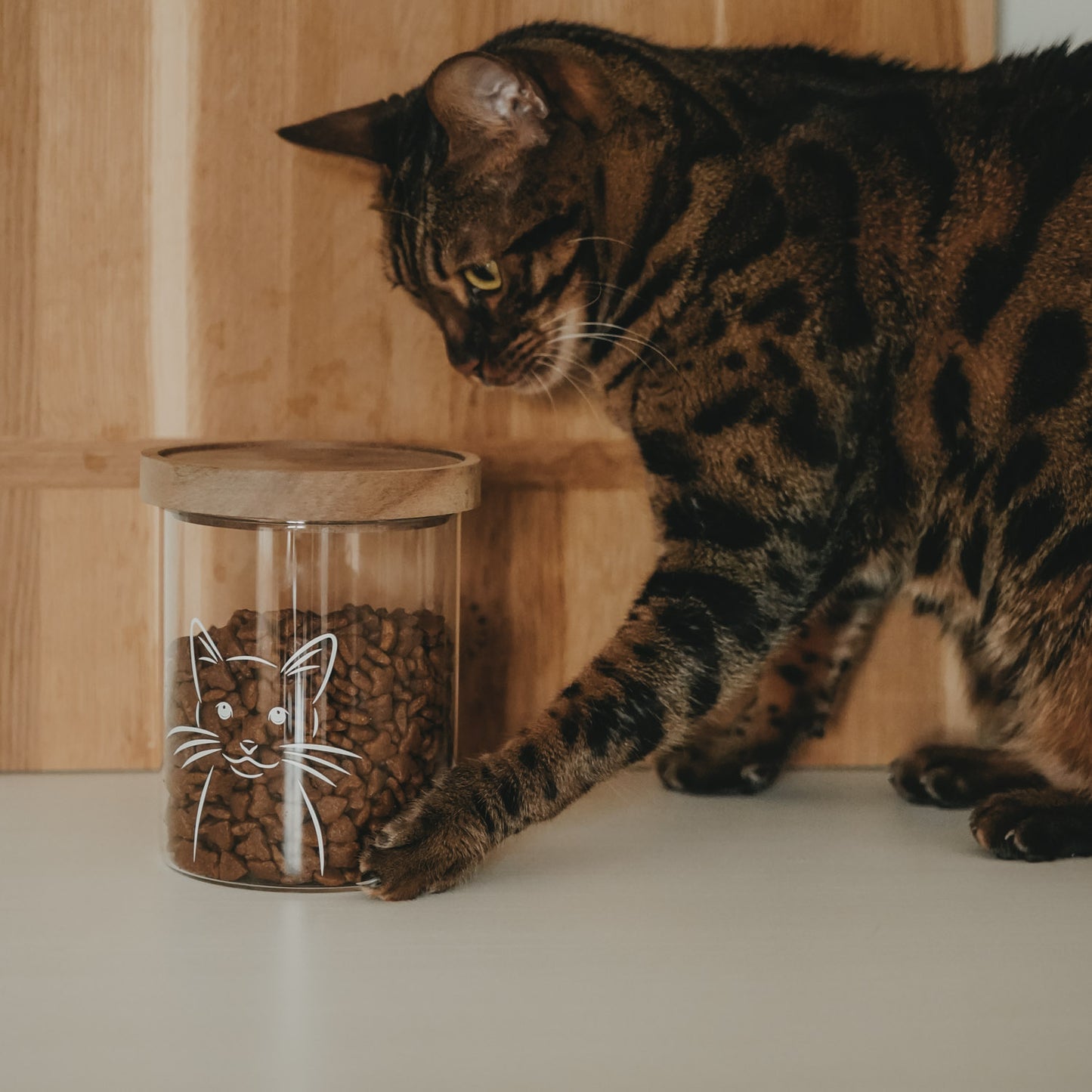 Vorratsglas Katze 13 cm