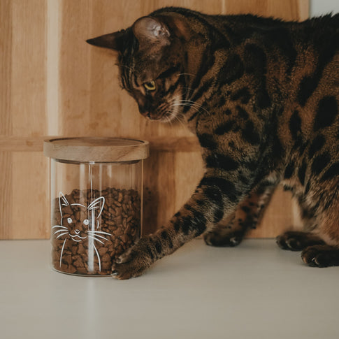 Vorratsglas Katze 13 cm