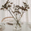 Bubble Vase aus transparentem Glas mit getrockneten Doldenblüten als Tischdekoration.
