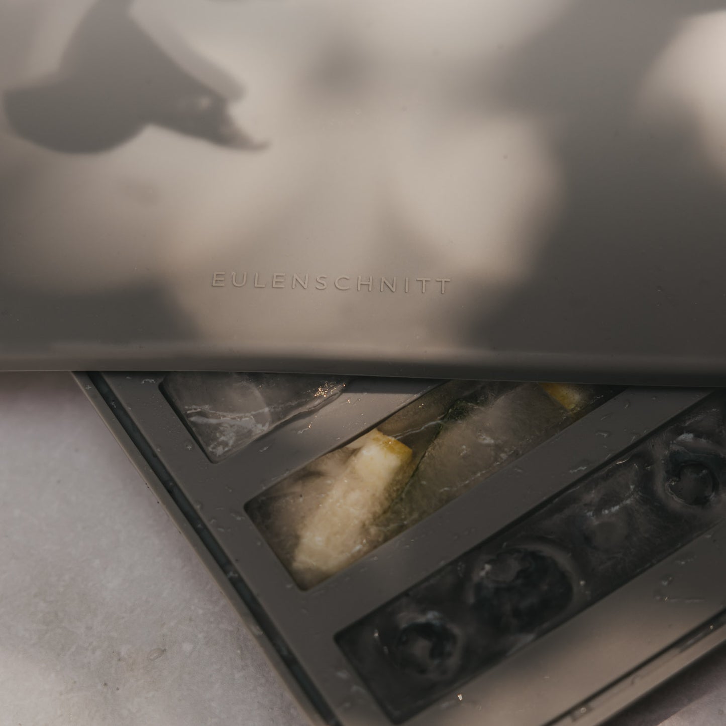 Detail Eiswürfelform mit Deckel und gefrorenen Früchten, praktische Ice Sticks für Flaschen