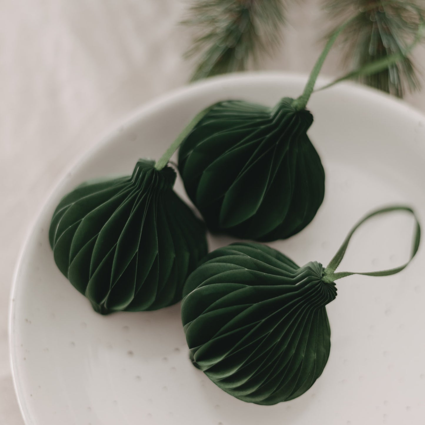 Drei dunkelgrüne Papieranhänger dekorativ auf einem weißen Teller mit Tannenzweigen im Hintergrund arrangiert.