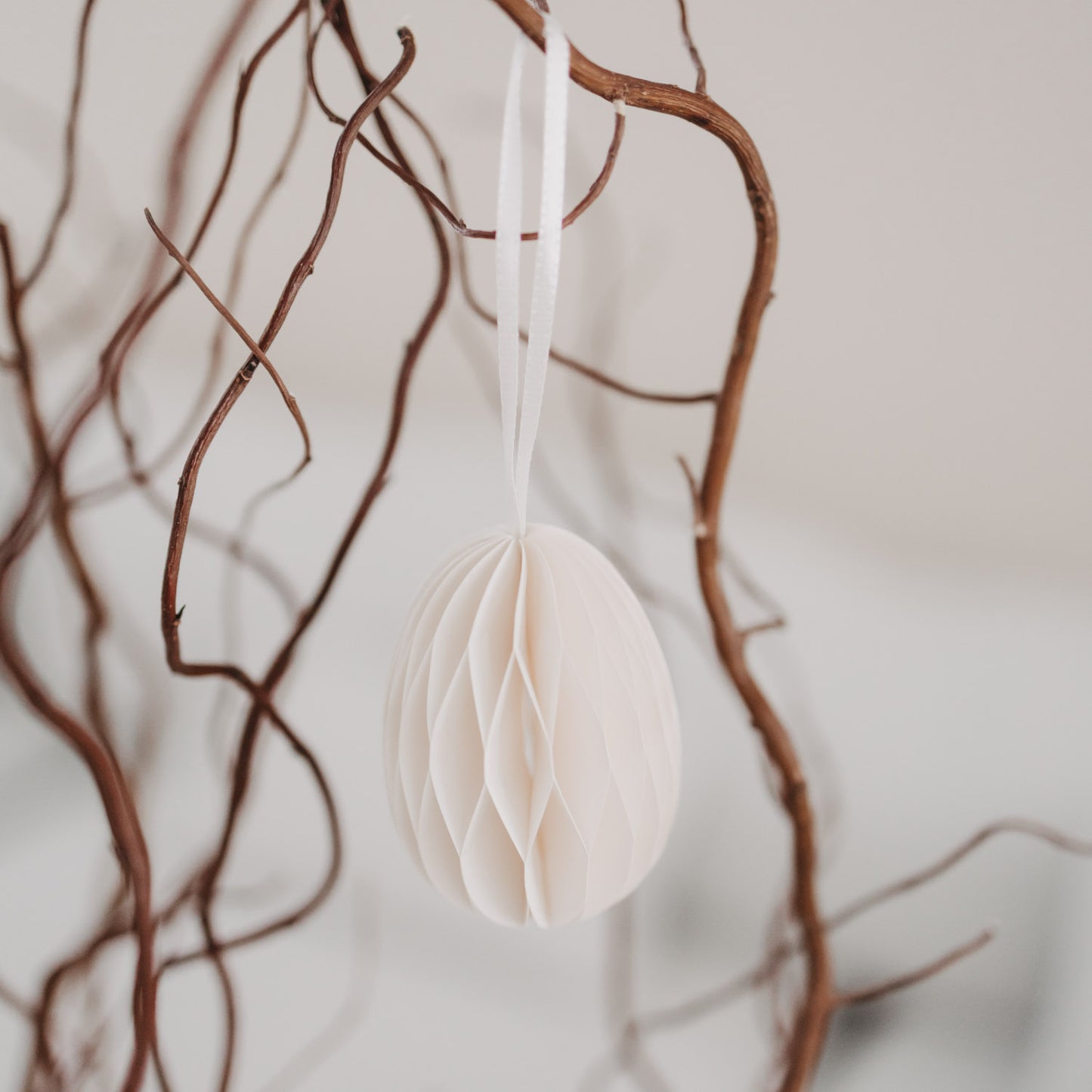 Beiger Papieranhänger in Ei-Form hängt an dekorativem Zweig.