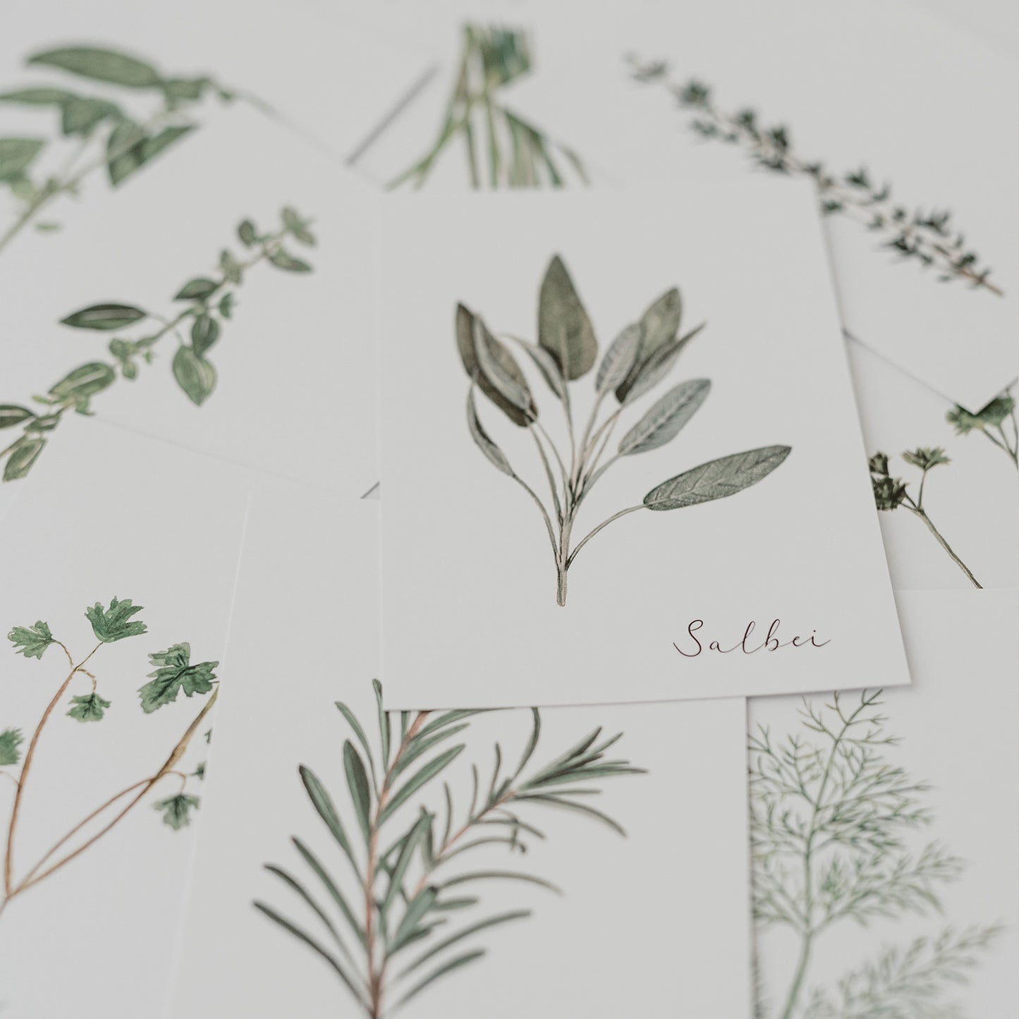 Kartenset Kräuter 9er Set