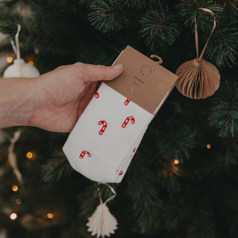 Verpackte Zuckerstangen-Socken vor Tannenzweigen – liebevoll inszeniertes Weihnachtsprodukt.