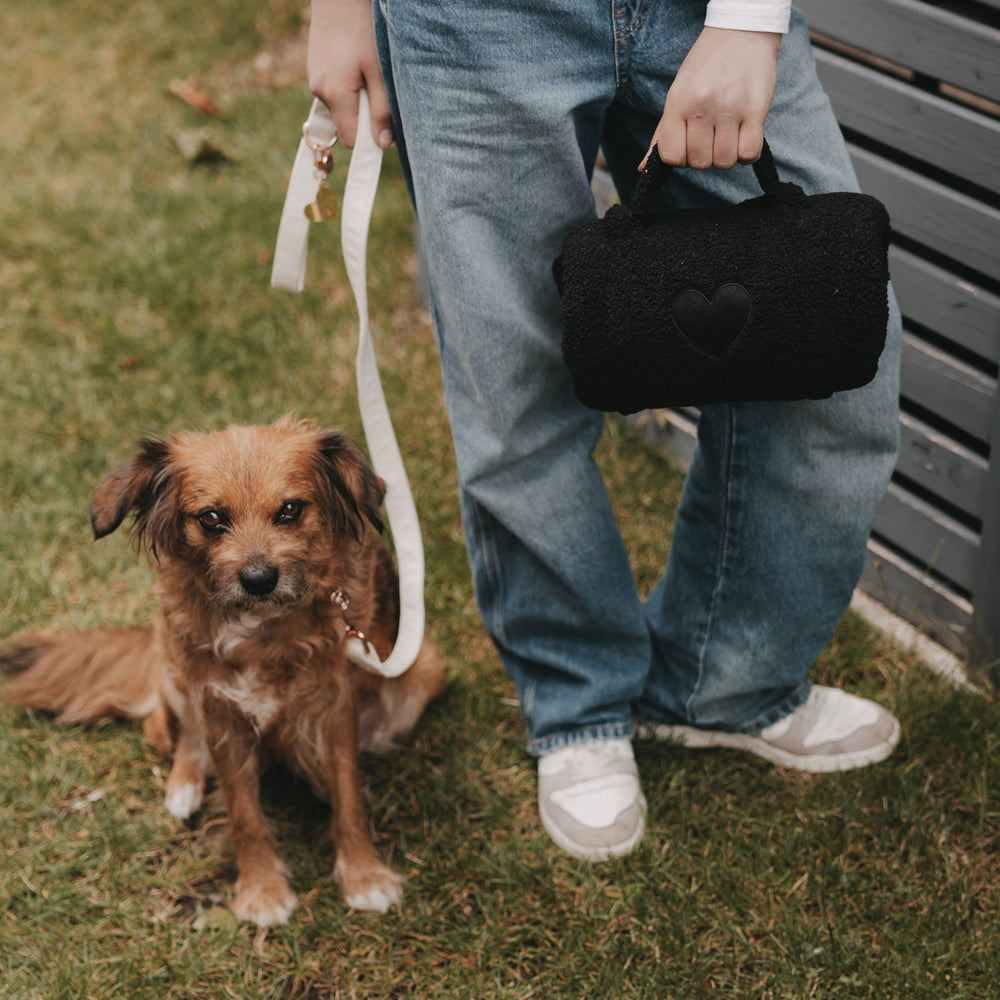 Hund an Leine neben Person mit schwarzer Hundedecke zum Mitnehmen