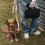 Hund an Leine neben Person mit schwarzer Hundedecke zum Mitnehmen