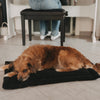 Hund liegt auf schwarzer Hundedecke neben zweiter Decke auf Fliesenboden