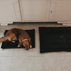 Schwarze Hundedecke mit Herz-Detail als Liegeplatz für Hund im Wohnbereich