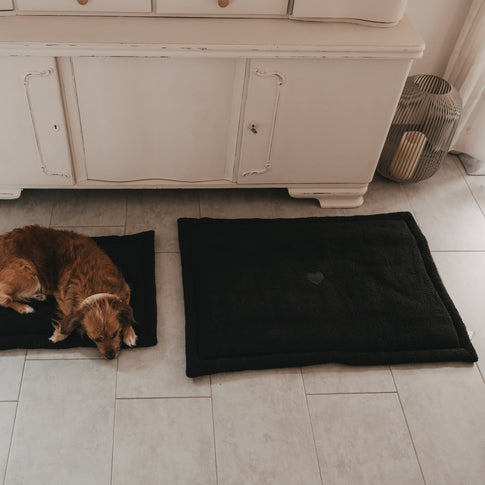 Zwei schwarze Hundedecken als gemütlicher Liegeplatz für Hunde im Zuhause