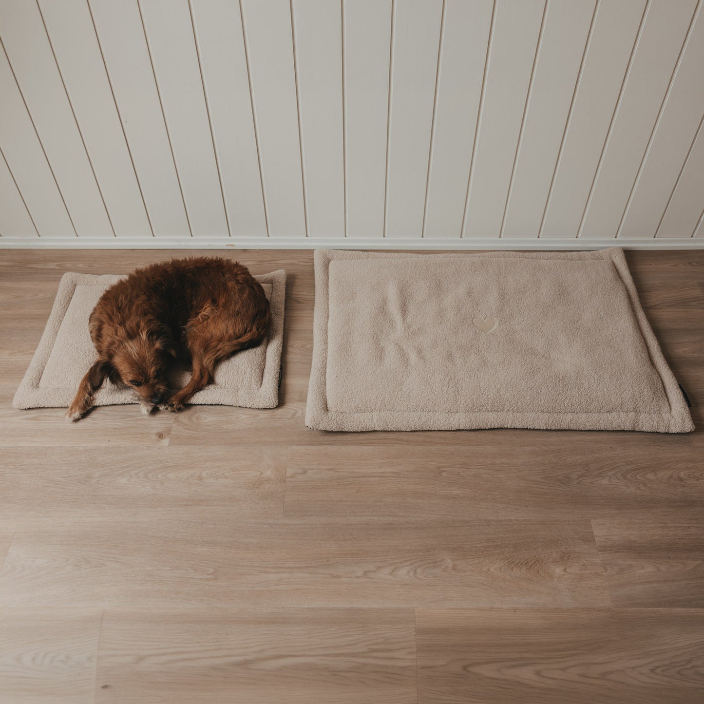 Zwei cremefarbene Hundedecken als gemütlicher Liegeplatz für Hunde