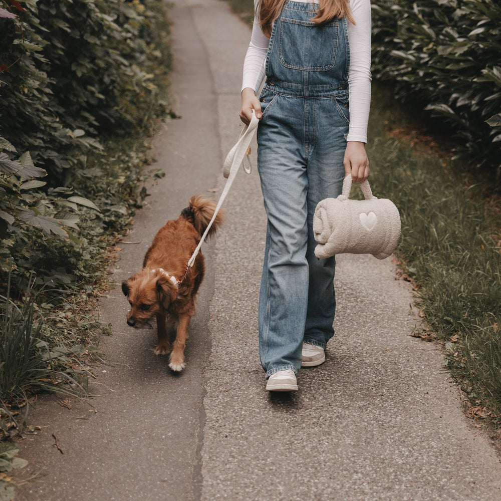 Spaziergang mit Hund und cremefarbener Hundedecke mit Herz-Detail und Griff