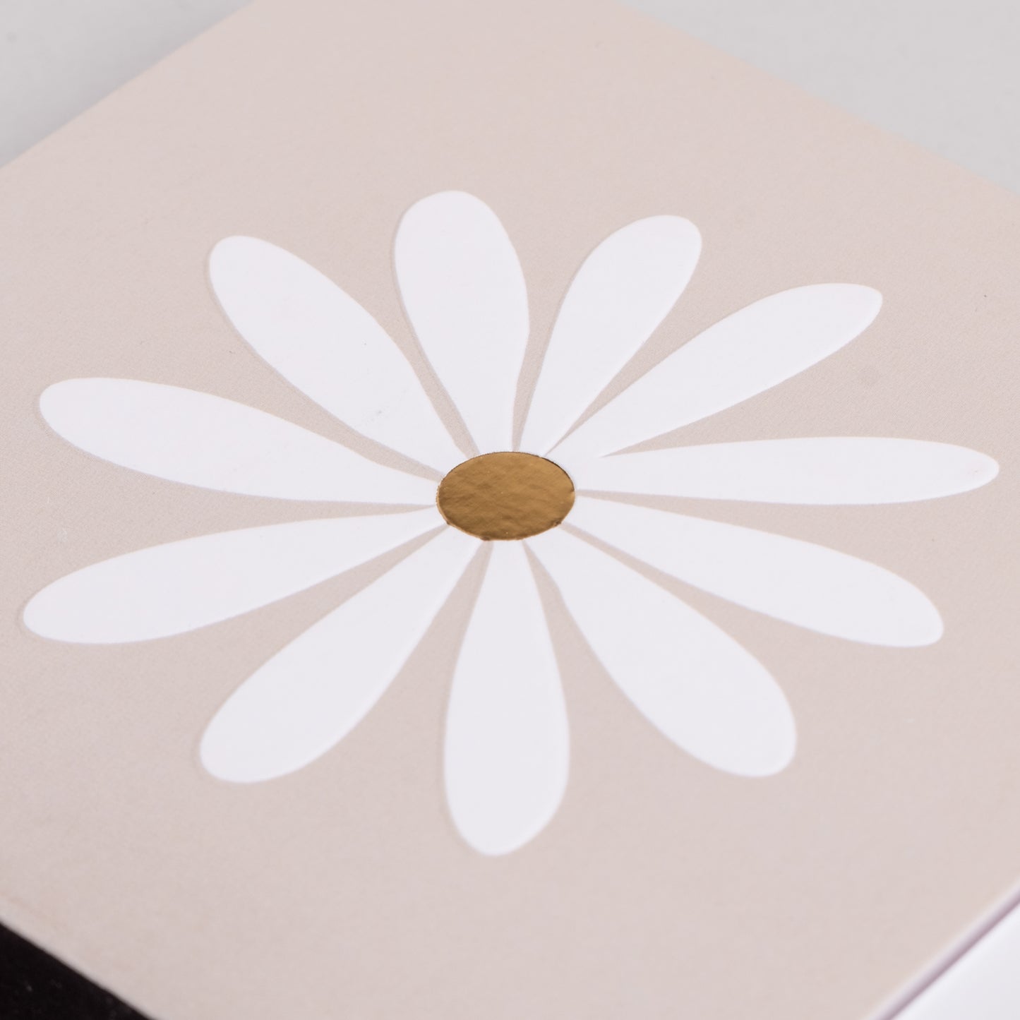 Streichholzschachtel mit weißer Blume auf beigefarbenem Hintergrund – verspieltes Design mit Gänseblümchen.