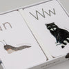 Tieralphabet Karten N für Nacktschnecke und W für Waschbär in Box.