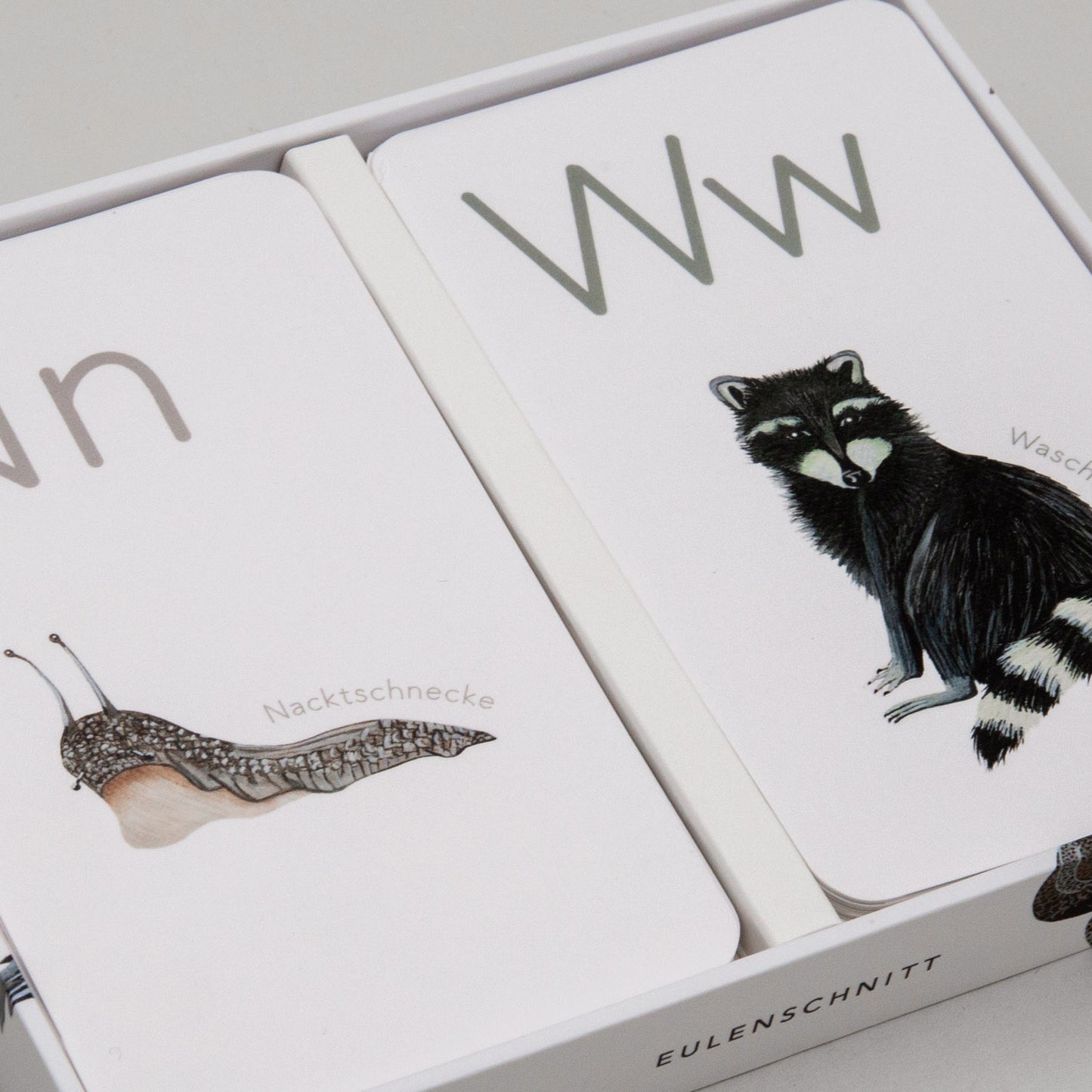 Tieralphabet Karten N für Nacktschnecke und W für Waschbär in Box.