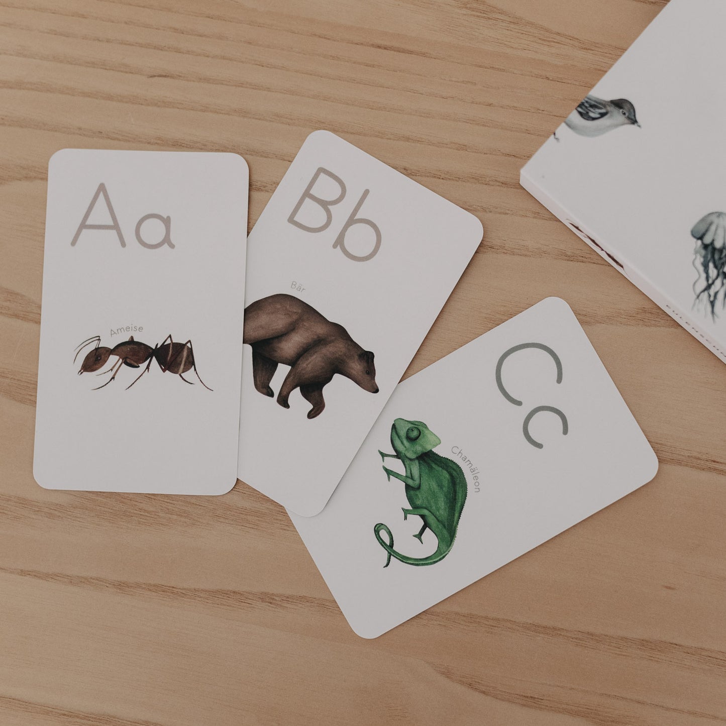 Tieralphabet Karten Aa, Bb und Cc mit Ameise, Bär und Chamäleon.