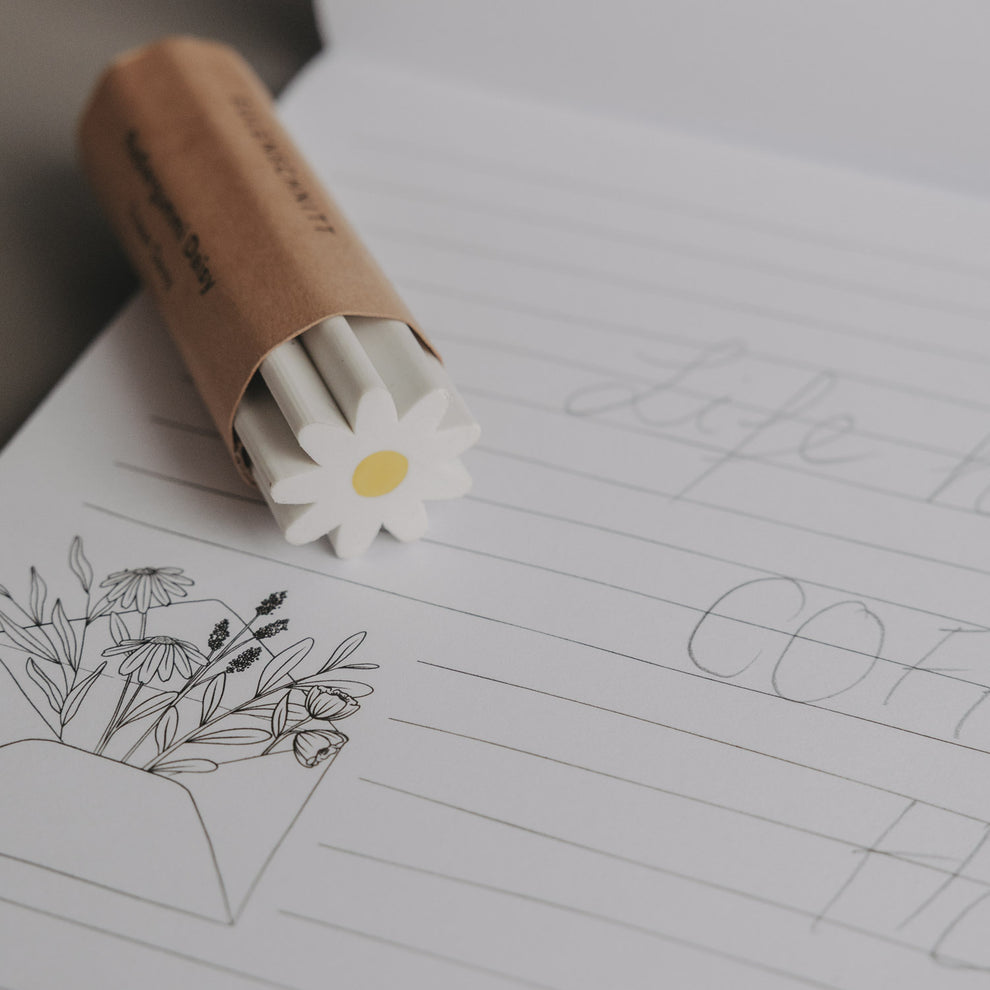 Radiergummi Daisy in Papierhülle auf Notizblock mit Linien und Zeichnung