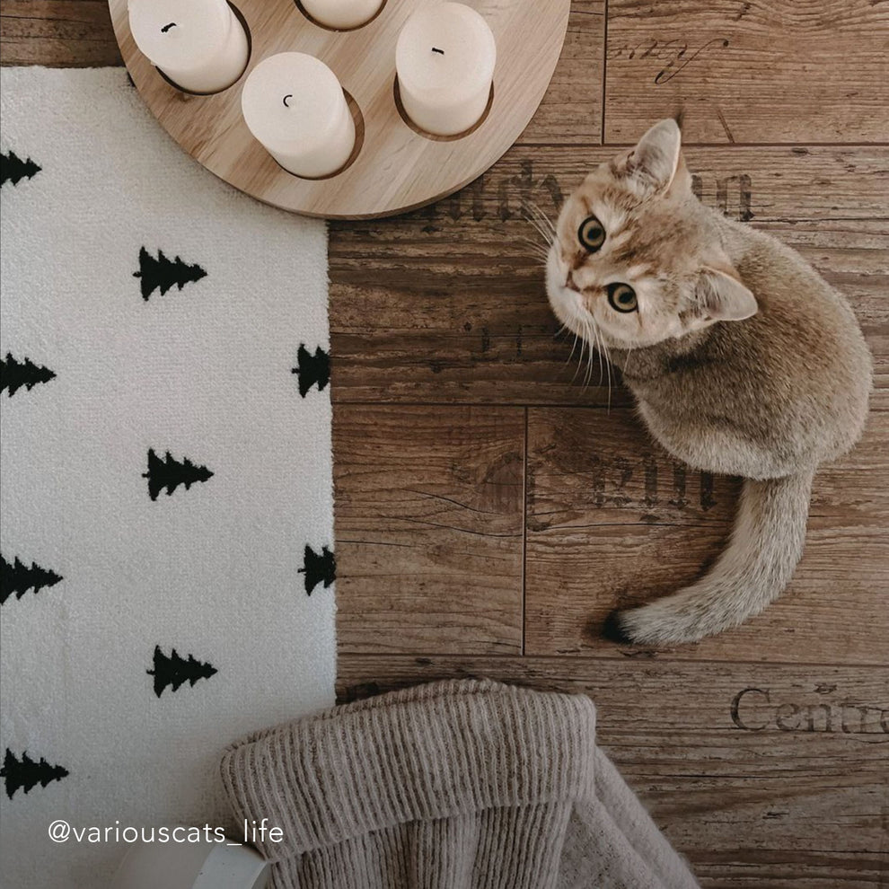 Waschbare Fußmatte Tannen